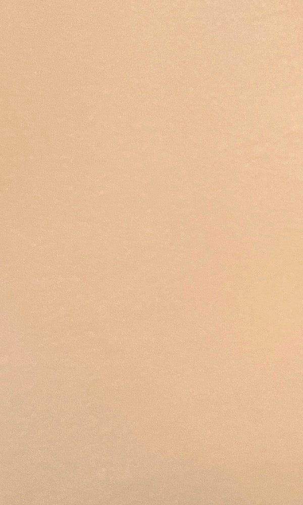Jersey Swatch- Champagne